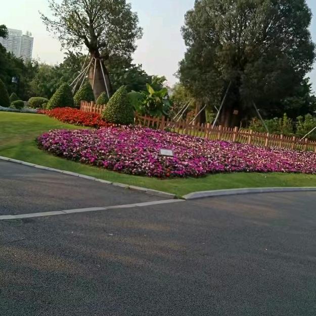 用户2445689096301