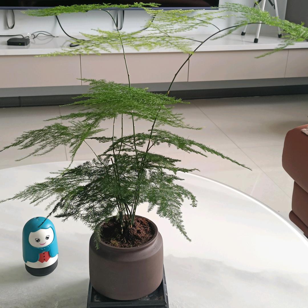 适合你不过分