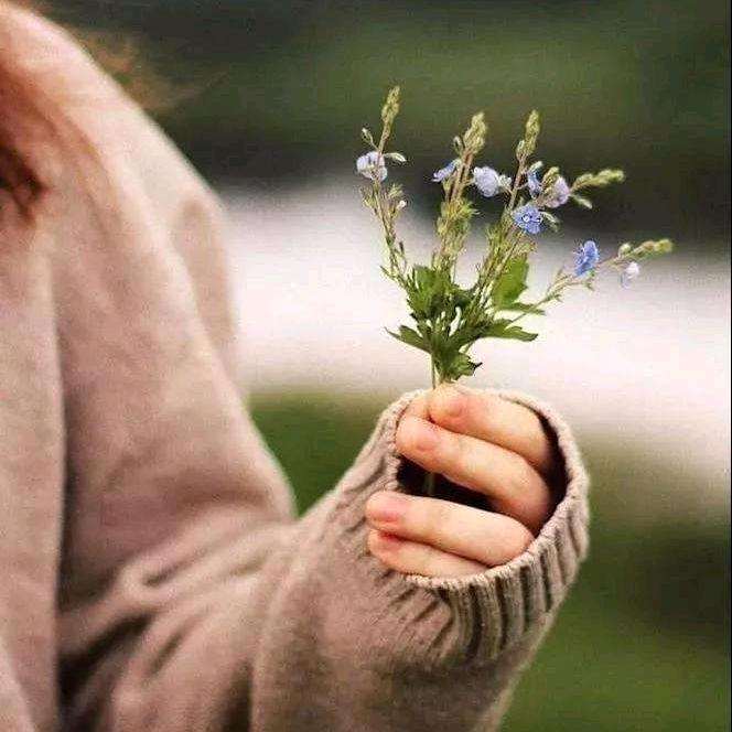 北城以念·何以为安