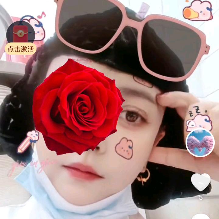 郁金香