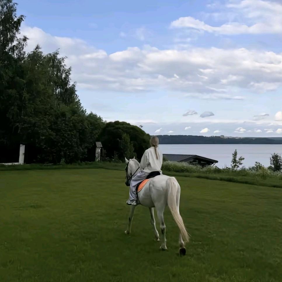 _小莹🐎.