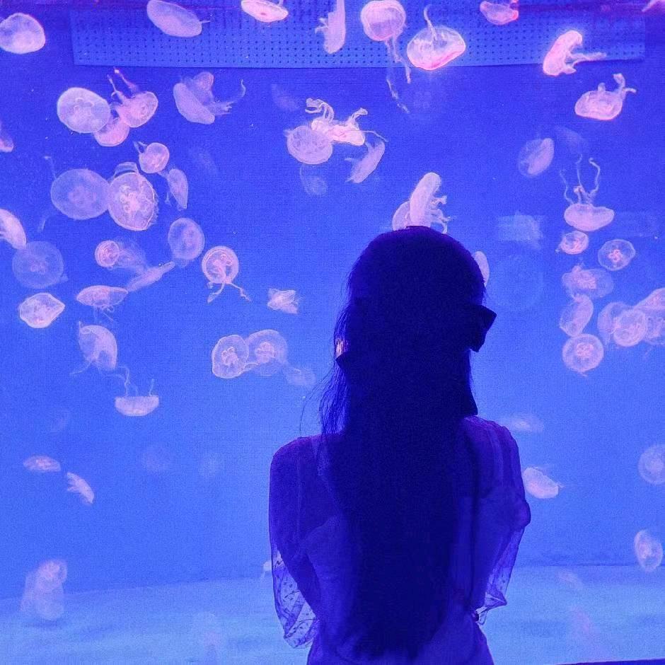小刘上班历险记🐡🐠🐡🦈