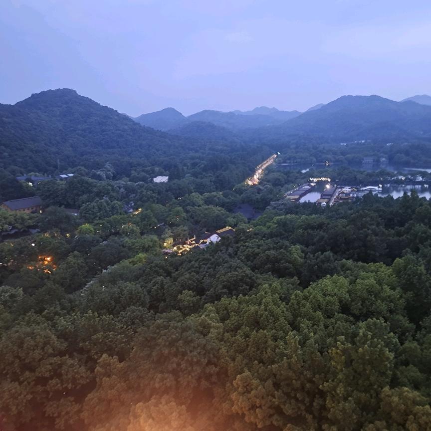 龙飞凤舞