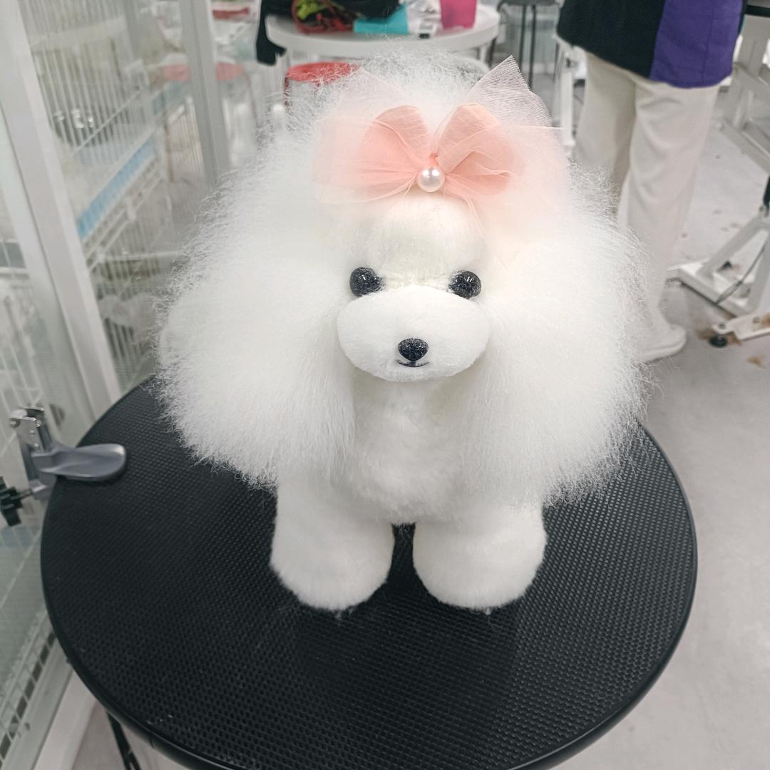 大爱宠物