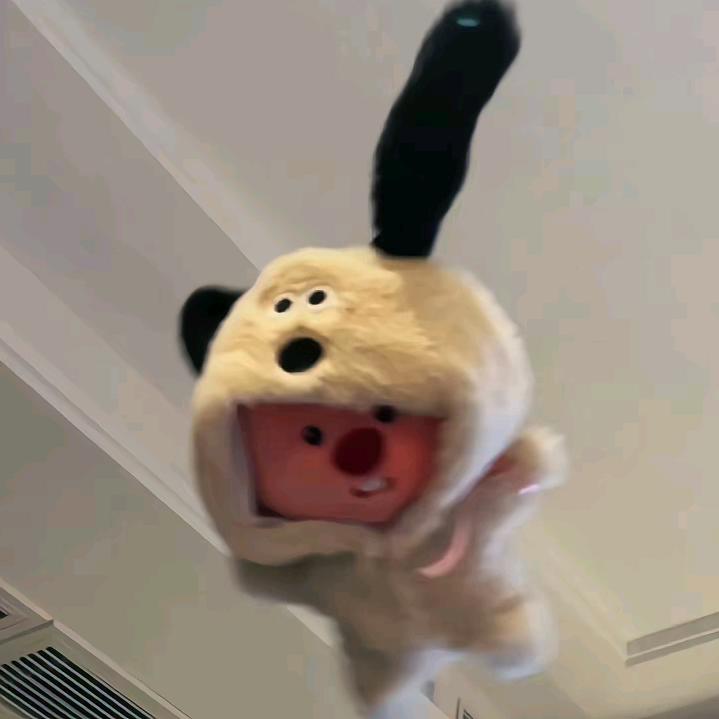 花生什么树了