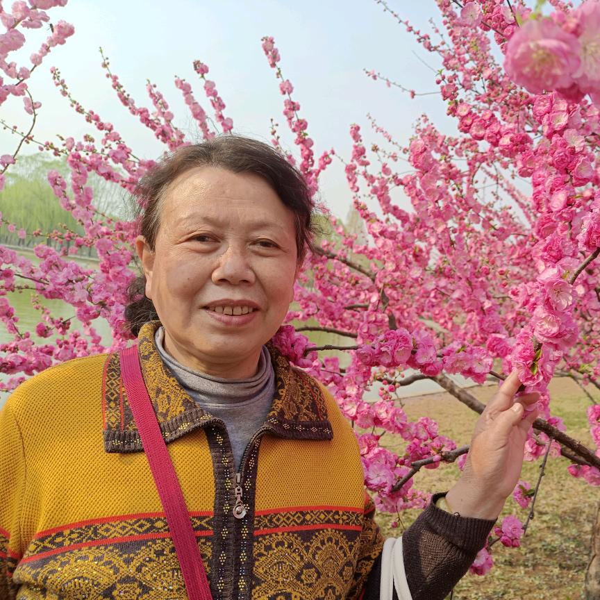 菲常幸福停播中