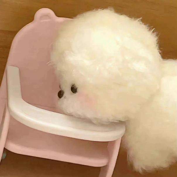 乞力马扎罗的雪(睡个好觉)