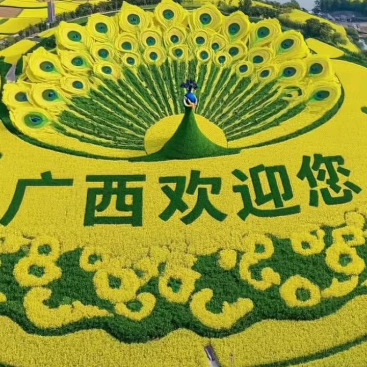 哥爱听歌