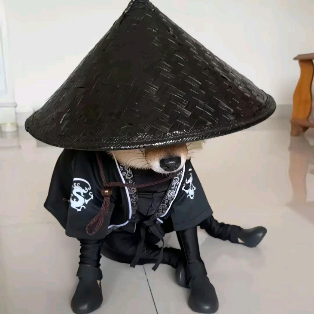 小羊-