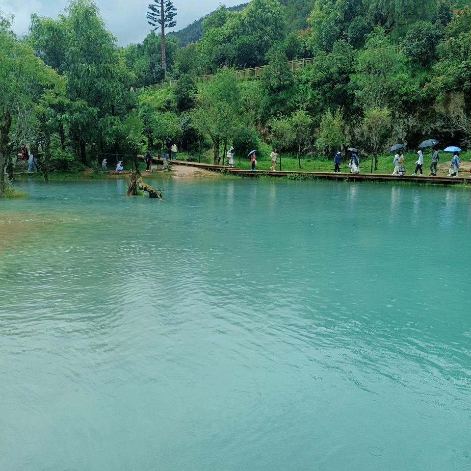 小倾馨