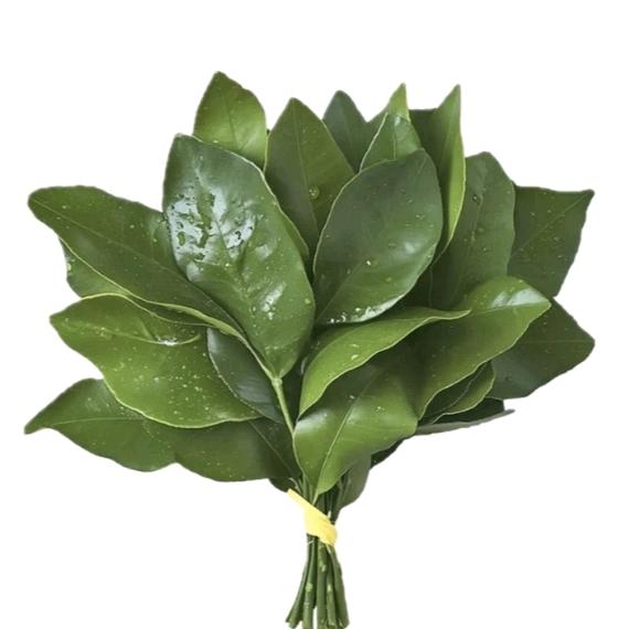 幂的三次方