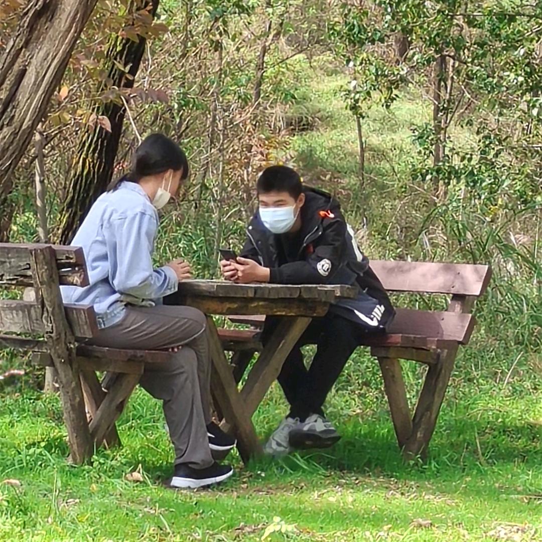 （魏）奕晨种苗