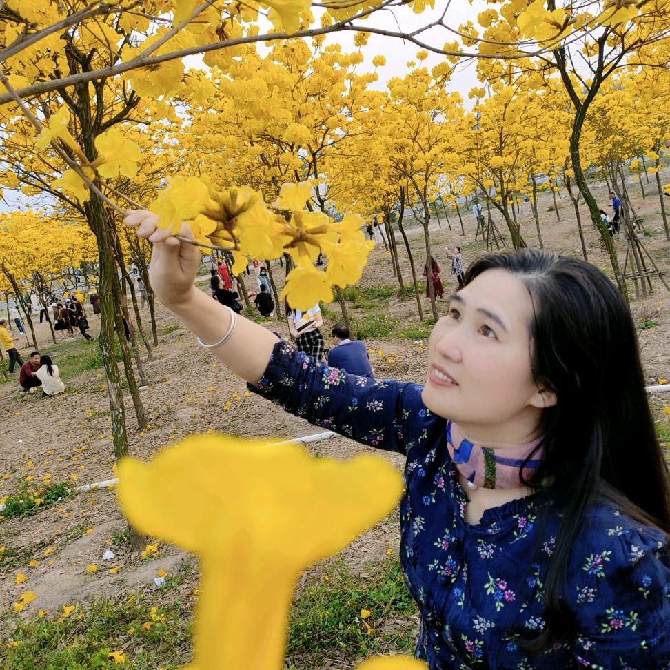 花姐（窗帘）晚上7点10分首播