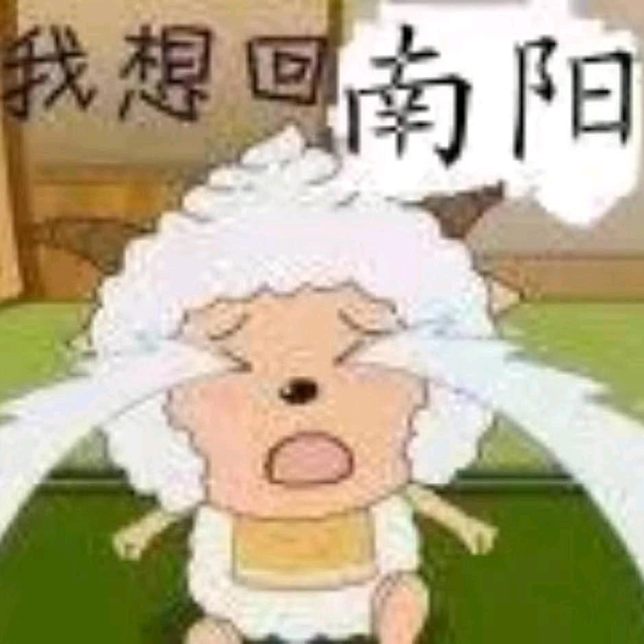 南漂