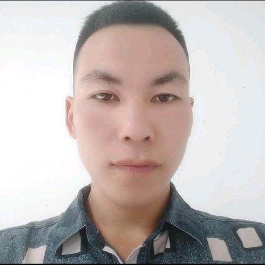 陈往鸿