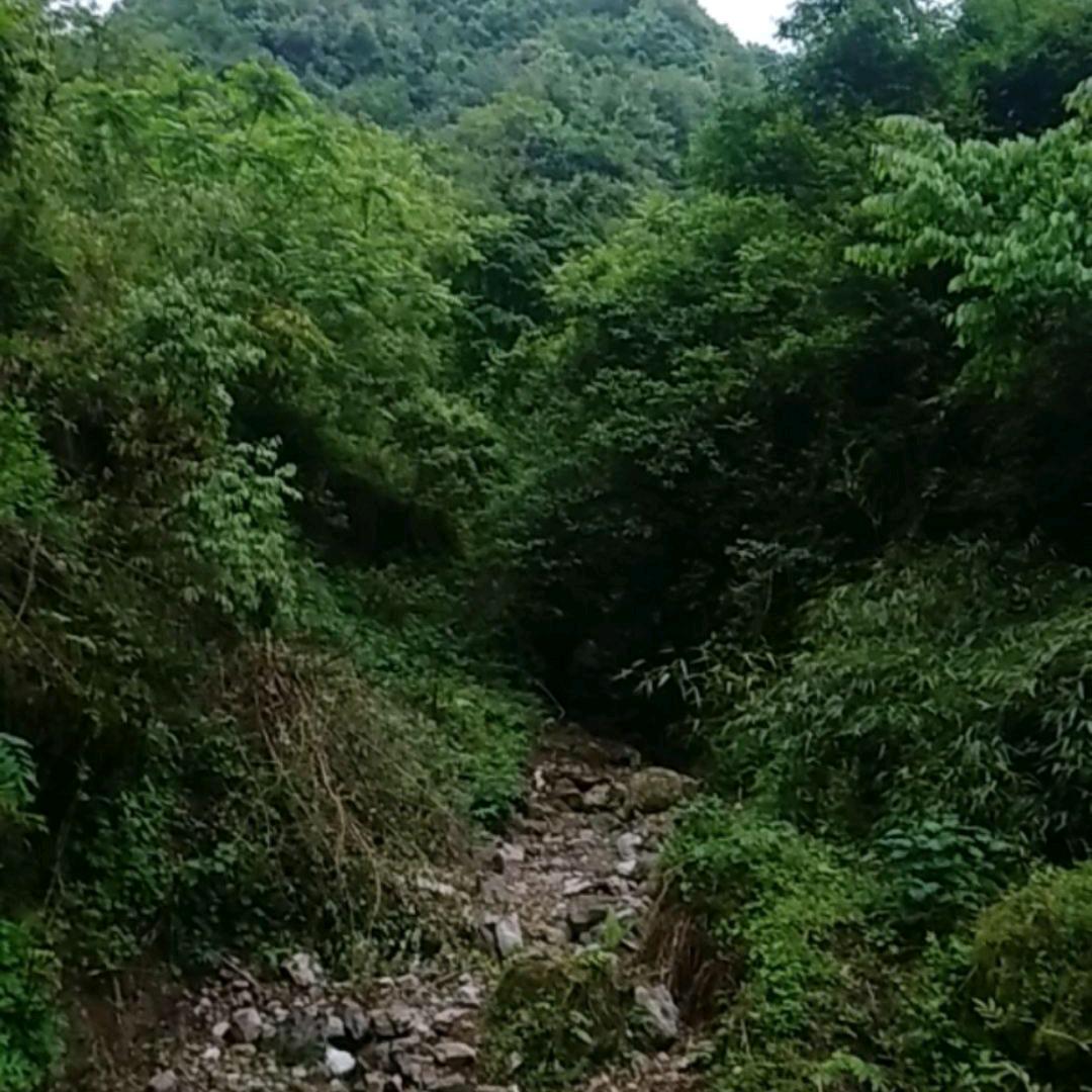 美好的一天