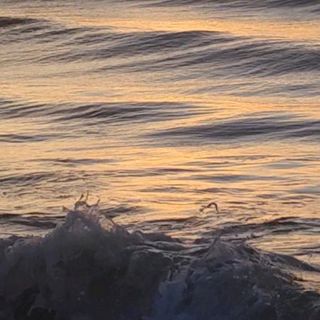 面朝大海K