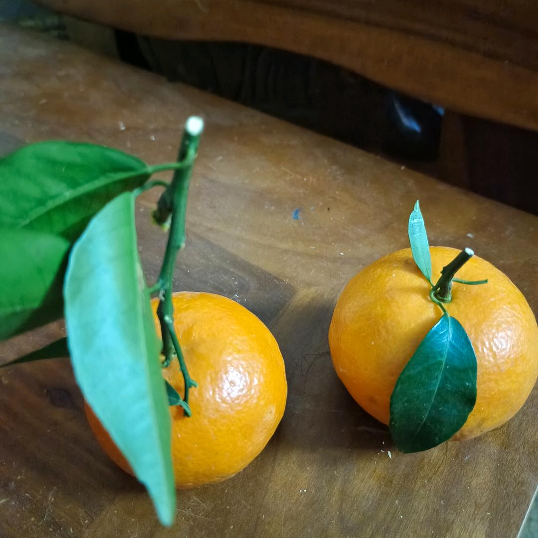 往后余生只爱自己