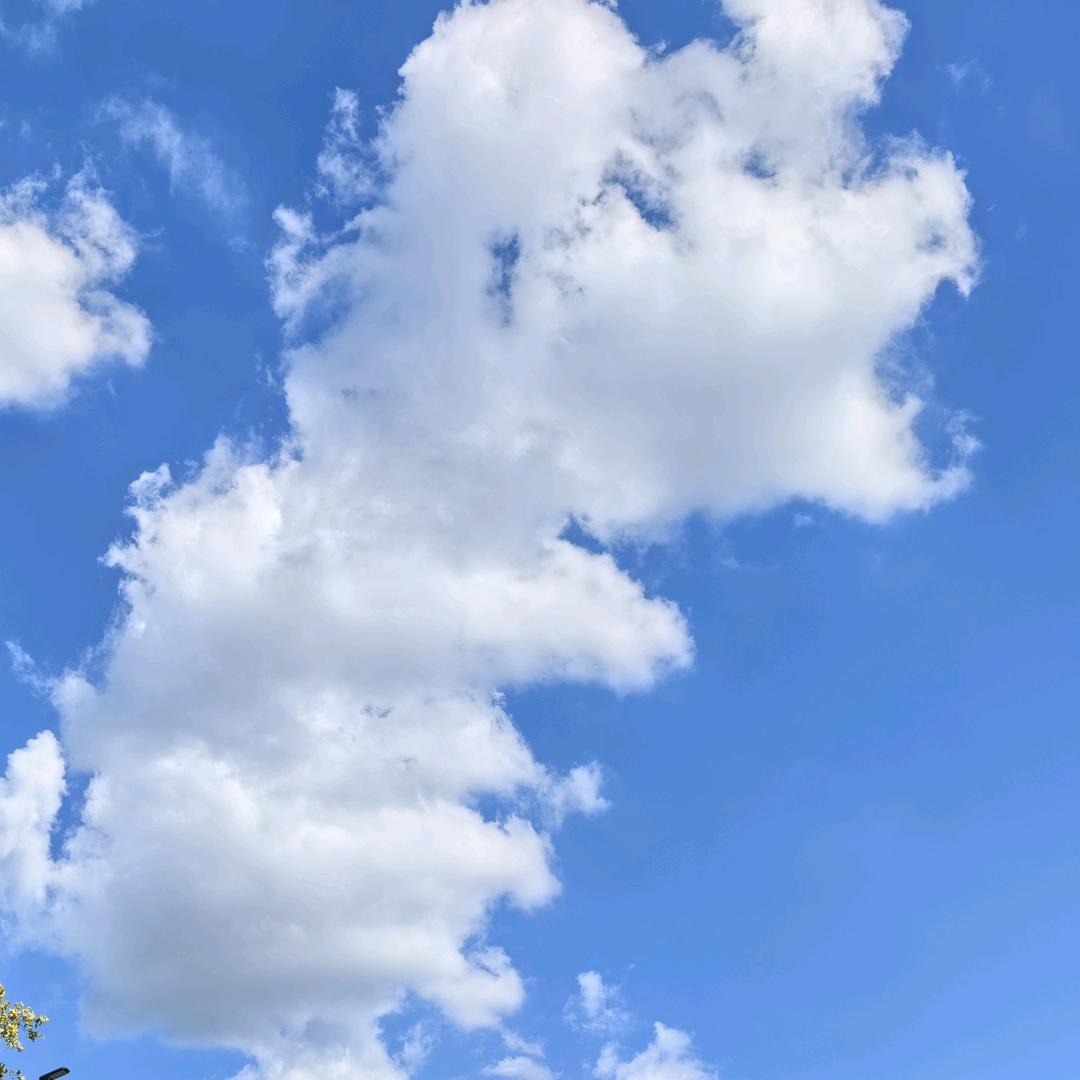 道道看电影