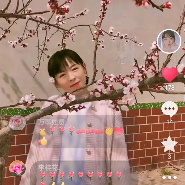 🌹凤儿