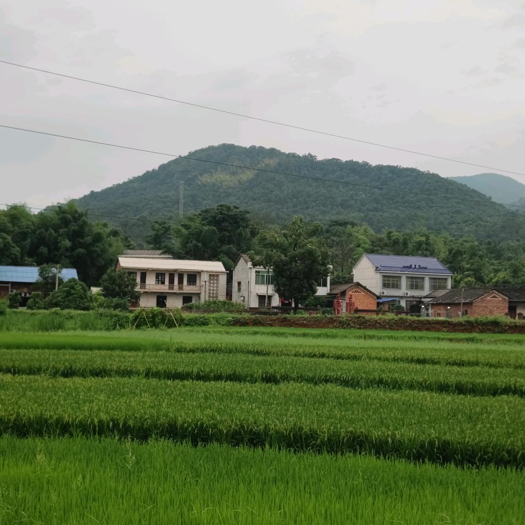 阿楠爱拍照📷