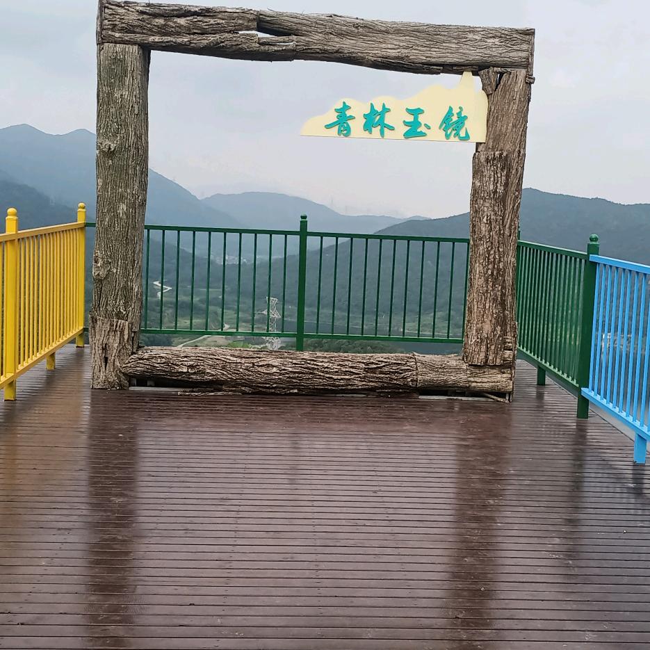 天若有情天亦老