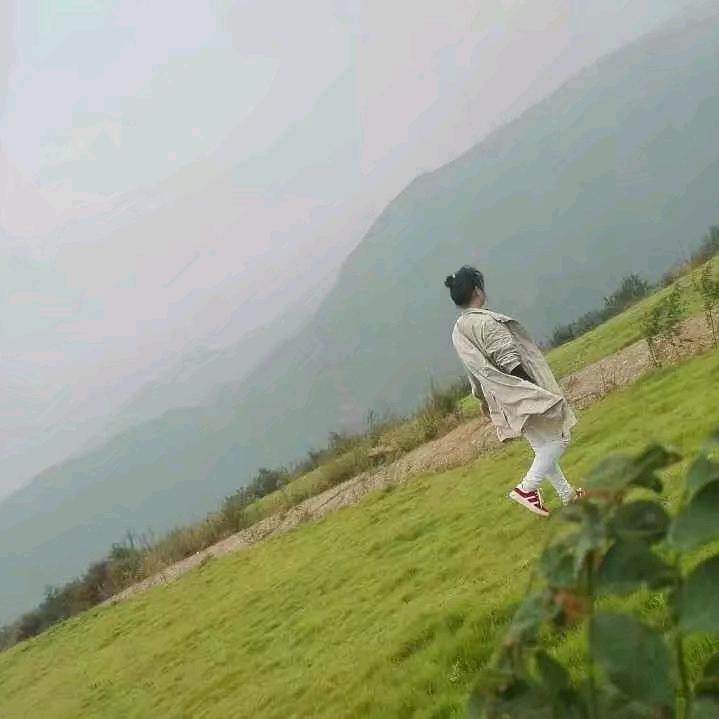 河南汇美园林景观设计有限公司