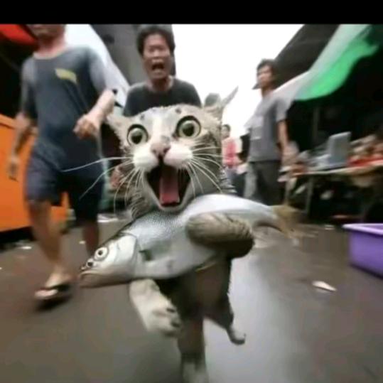 顶风作案