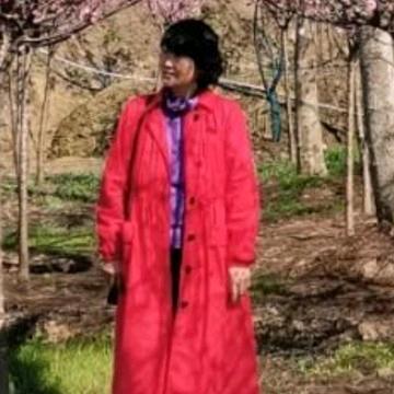 退休花姐