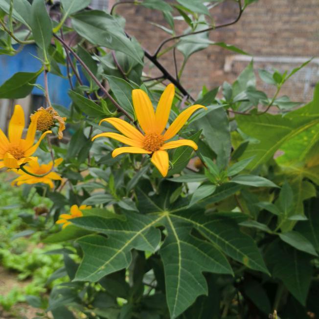 @这花花🌸漂亮不》