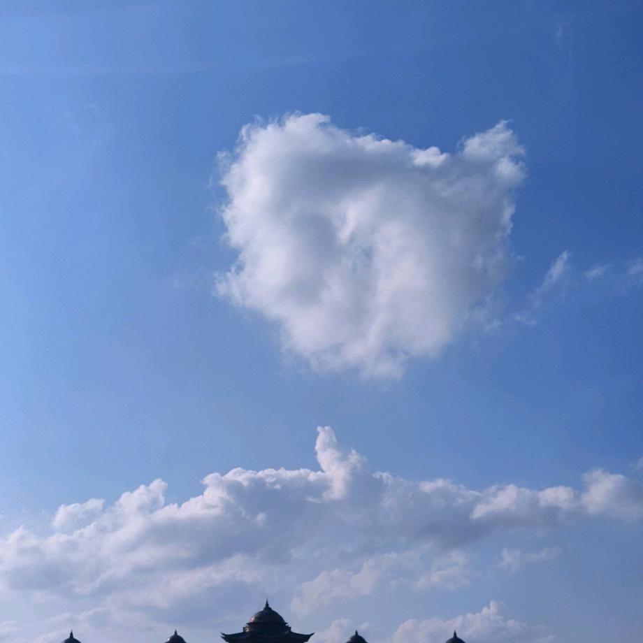 珈珞
