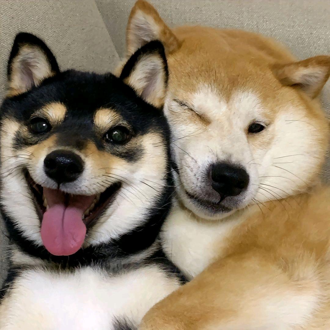 玊.