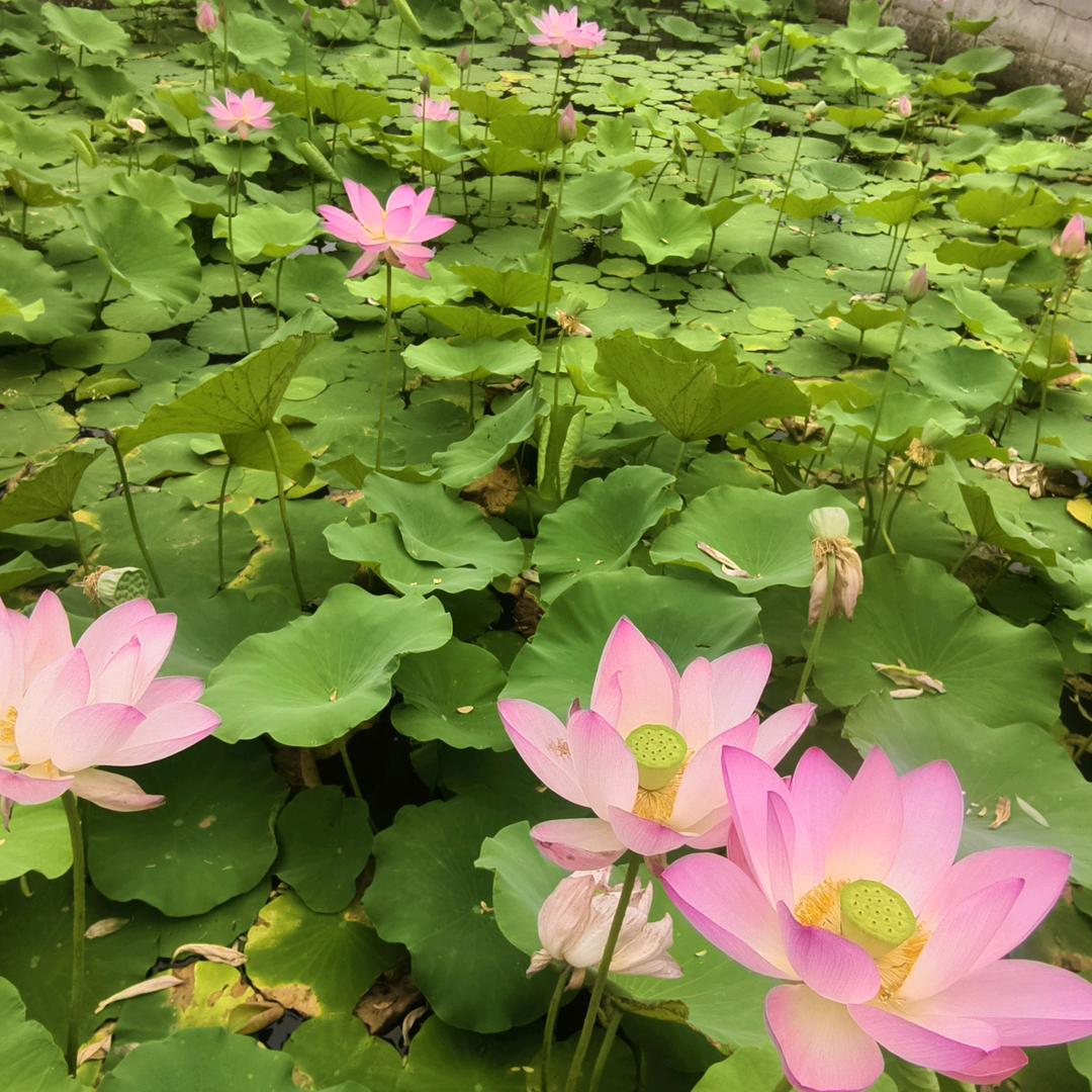 奋斗的青春