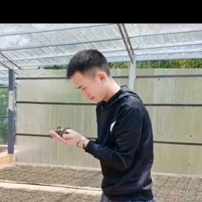 泌香茶居