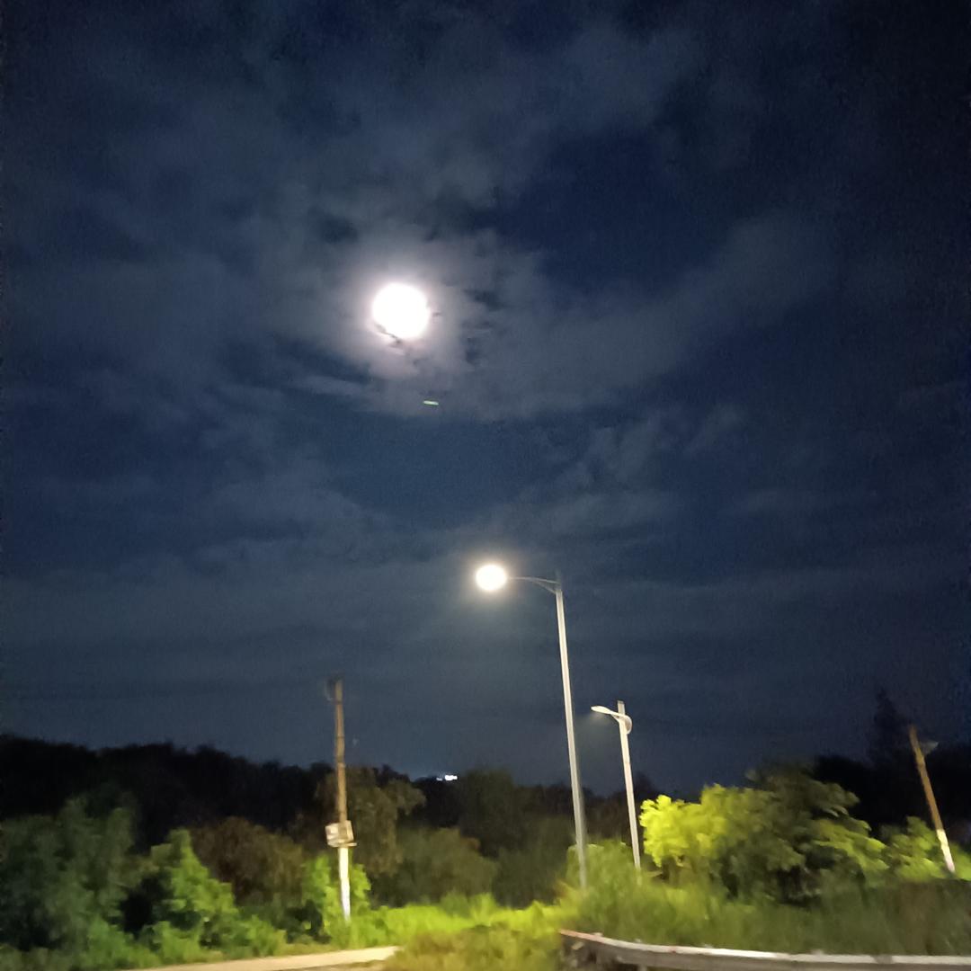 星陈🌴大海