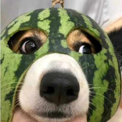 长沙彭于晏