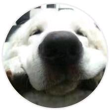 小渔儿的故事屋