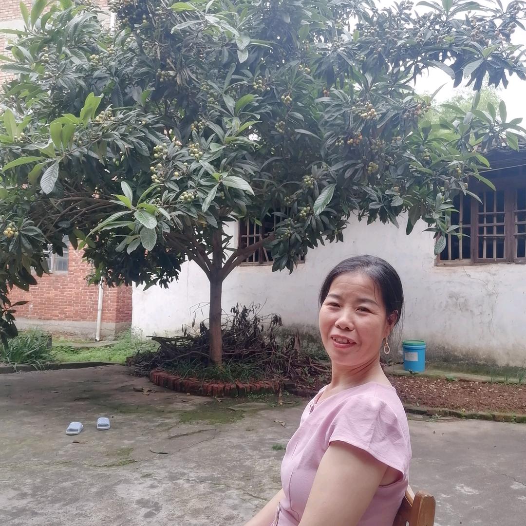 梦想成真