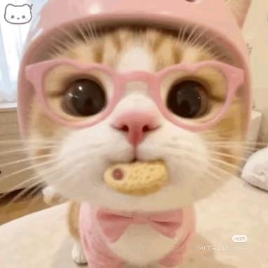 月liang不发光💤