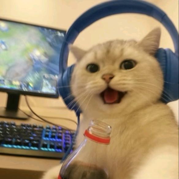 猴犼玩.ᗜ⌯ᗜ̥.