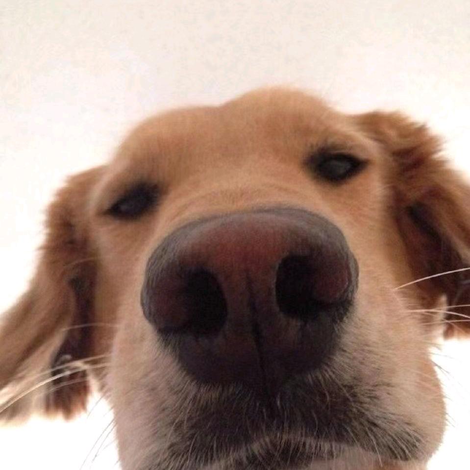 68668
