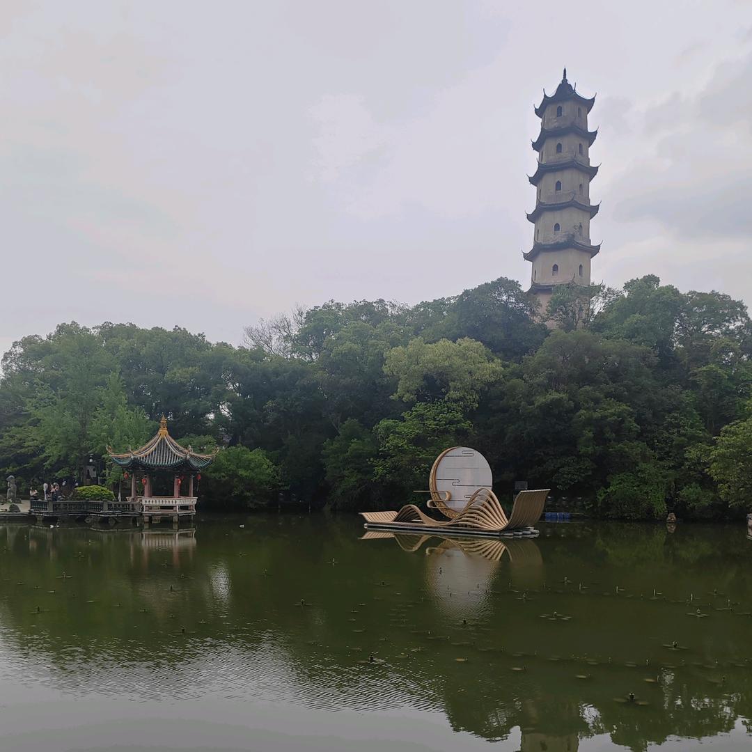 知音🇨🇳