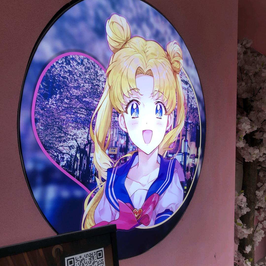 📈小呀小韭菜📈