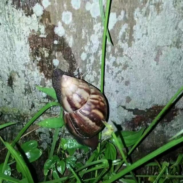 时光！！！🇲🇴