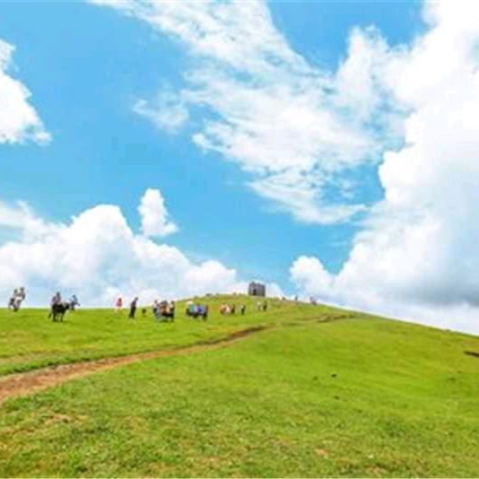 亮记@AI绿慕搭建