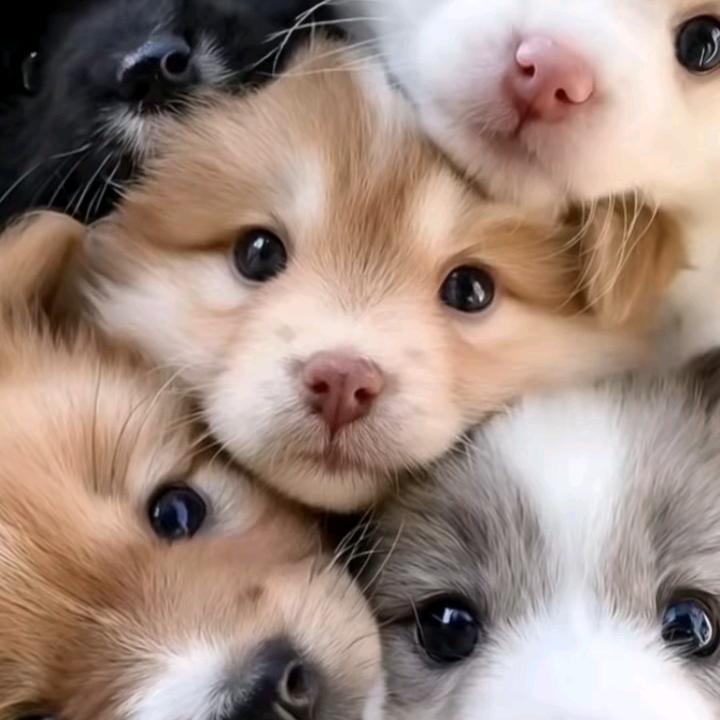 财源滚滚来