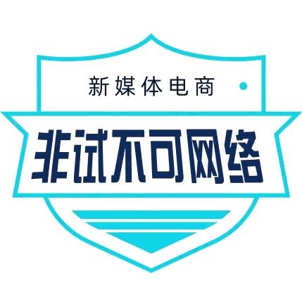 非试不可（叶十八）