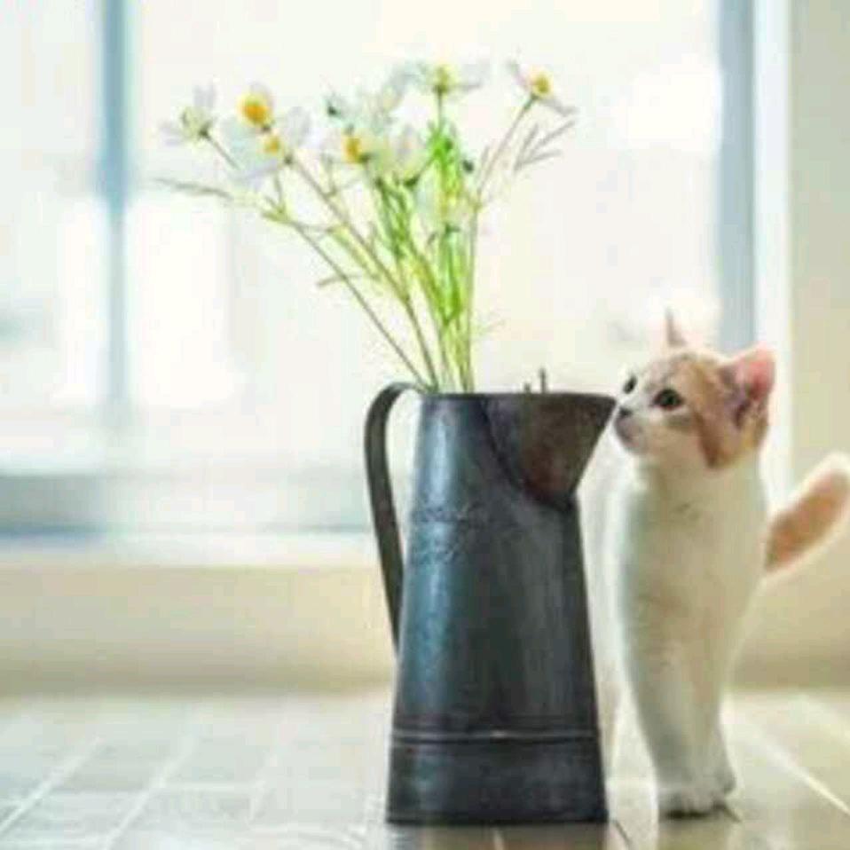 风何往