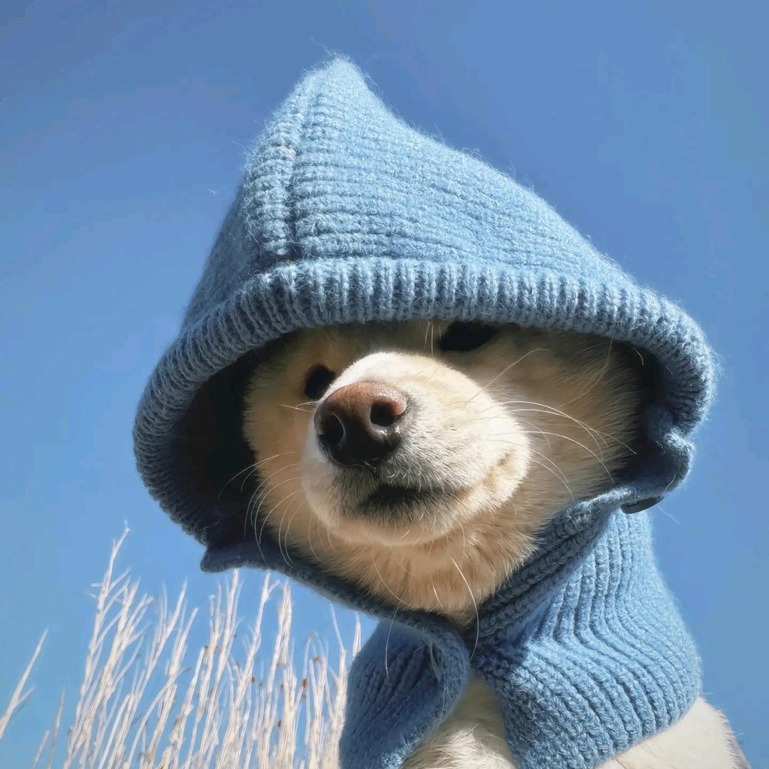 “25℃”