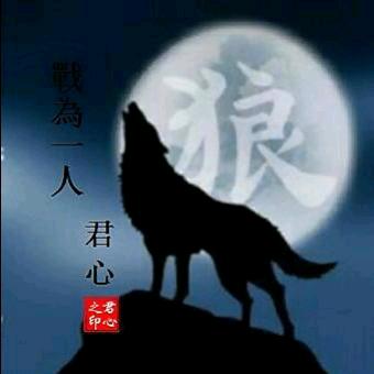 🇨🇳孤狼🇨🇳